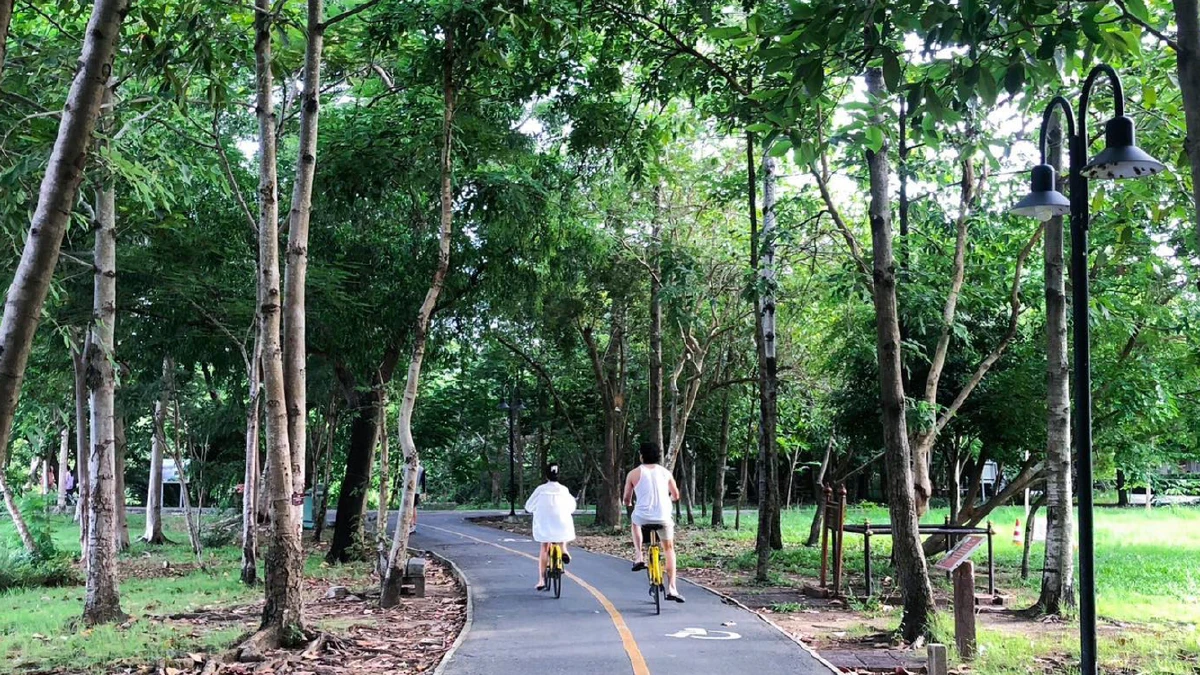 Bangkok Zoo Safari Cycling Tour 2 Days